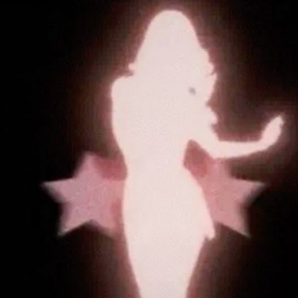 Meet your Posher, Cleo - Picture 1 of 1